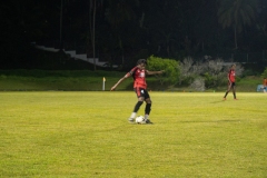 DSC08913-Enhanced-NR