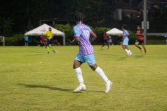 DSC08914-Enhanced-NR