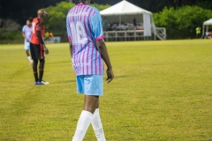 DSC08916-Enhanced-NR