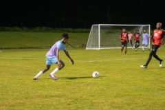 DSC08918-Enhanced-NR