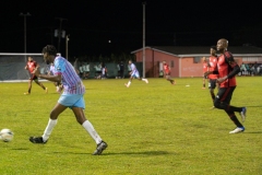 DSC08960-Enhanced-NR